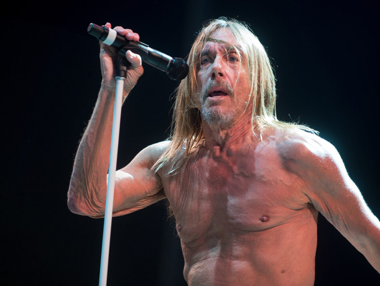 Skvělý den pro světovou hudbu, narozeniny slaví Robert Smith, Iggy Pop